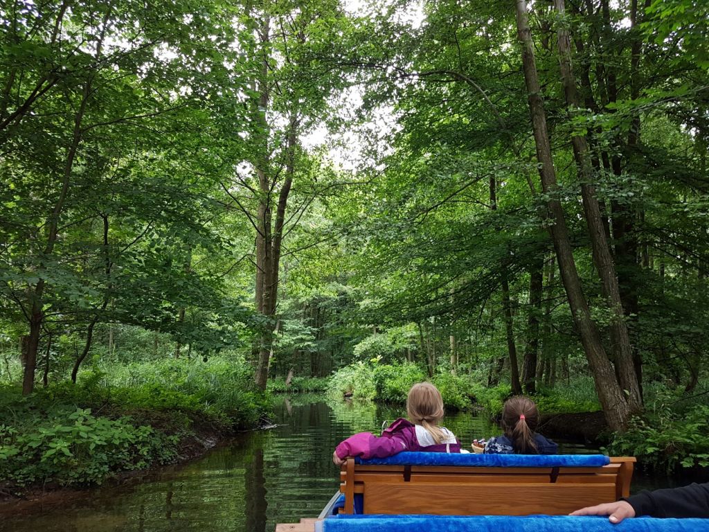 Nachhaltig rumgurken